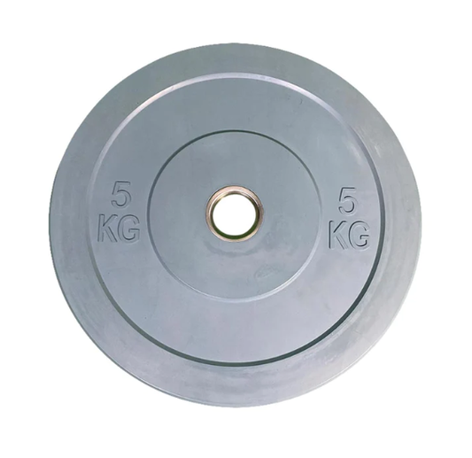 Bumper weight, rubbered boom disk 5 kg gray