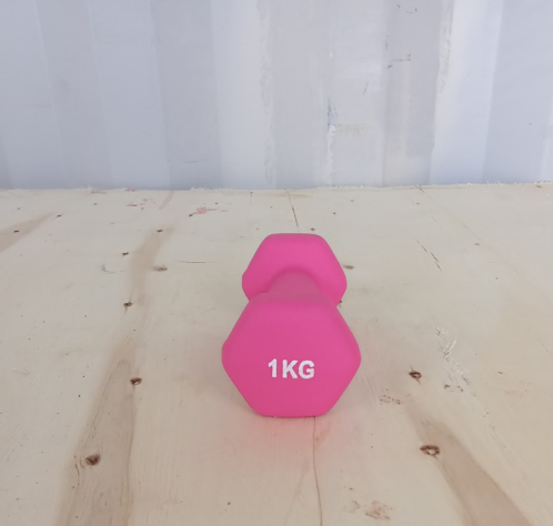 Hex ročka iz neoprena in litega železa 1 kg | Heksagonalna utež