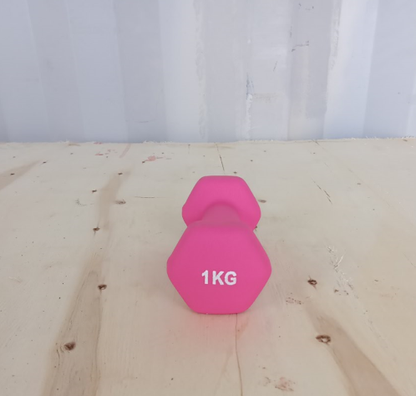 Hex ročka iz neoprena in litega železa 1 kg | Heksagonalna utež