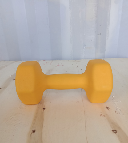 Hex ročka iz neoprena in litega železa 6 kg | Heksagonalna utež