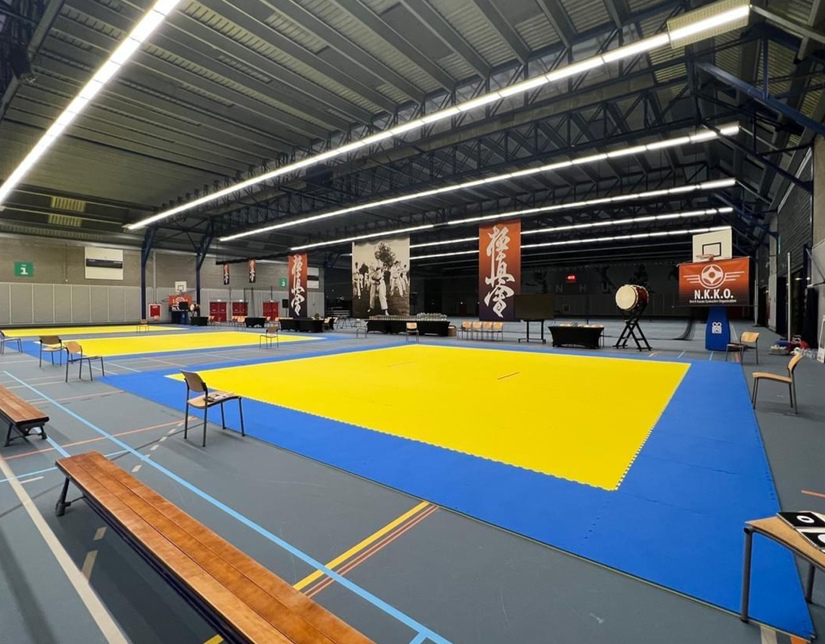 Tatami podloga 4 cm rumeno-modra
